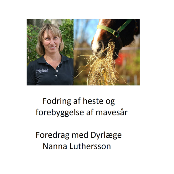 Din Hest i Centrum -  et foredrag om korrekt fodring ved Dyrlæge Nanna Luthersson