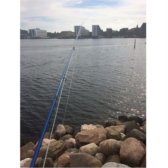 Der er rige muligheder for fiskeri i Holbæk havn og fjord